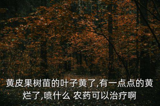 黃皮果樹苗的葉子黃了,有一點點的黃爛了,噴什么 農藥可以治療啊