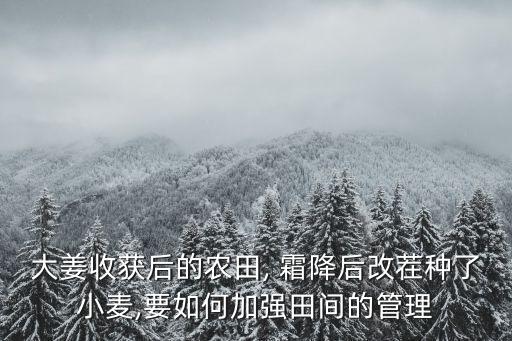 霜降后用什么農(nóng)藥除草