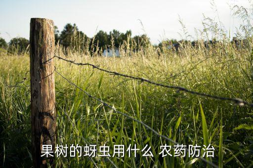  果樹的蚜蟲用什么 農藥防治