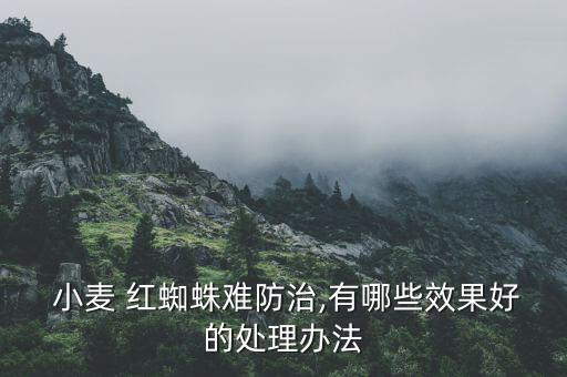 治小麥紅蜘蛛用什么農(nóng)藥,小麥紅蜘蛛蚜蟲防治時間