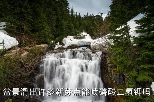 什么農藥適合盆栽花,什么花比較香適合室內盆栽