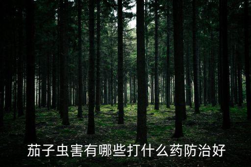 茄子薊馬用什么農藥好,茄子黃薊馬打什么農藥最好