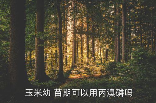 玉米苗期能用什么農藥,玉米治蟲用什么農藥好