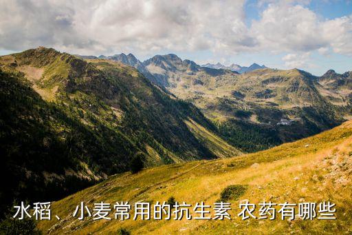 水稻、小麥常用的抗生素 農藥有哪些
