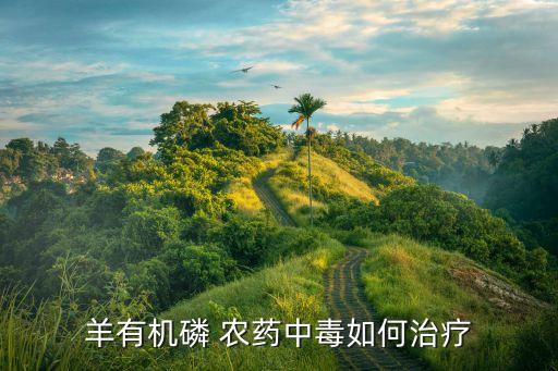 ,羊吃著農(nóng)藥用什么辦法