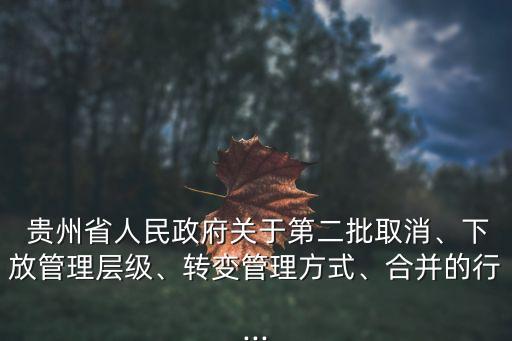  貴州省人民政府關于第二批取消、下放管理層級、轉變管理方式、合并的行...