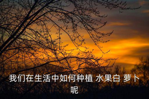 我們在生活中如何種植 水果白 蘿卜呢