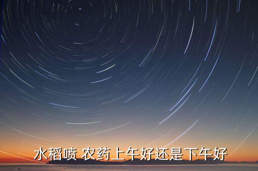  水稻噴 農(nóng)藥上午好還是下午好