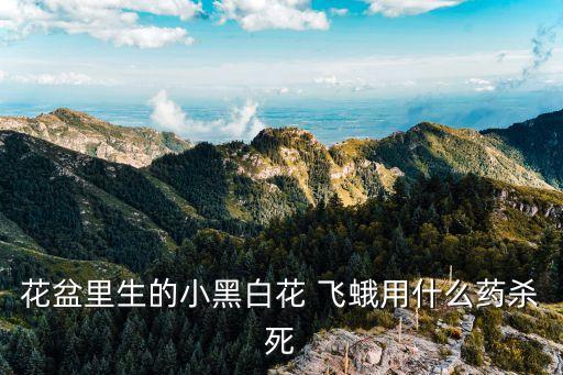 消滅飛蛾妖蛾用什么農藥,菜地里的飛蛾用什么消滅