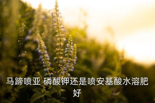 亞磷酸甲是什么農藥,甲氯菊酯是什么農藥