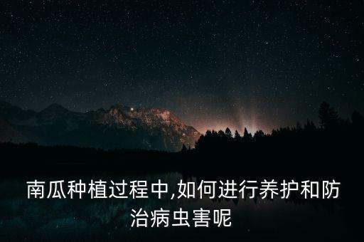 南瓜雨后打什么農藥,南瓜生蟲用什么農藥