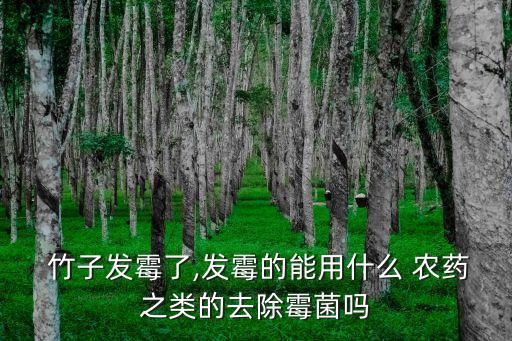 竹子可以打什么農(nóng)藥,竹子用什么農(nóng)藥能除掉