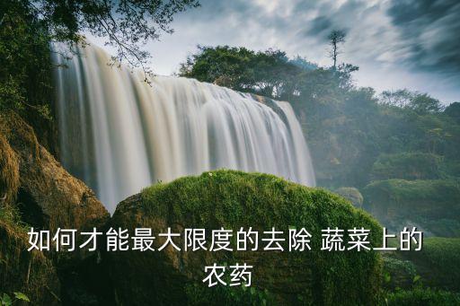蔬菜農(nóng)藥下載什么軟件,洗蔬菜用什么洗去農(nóng)藥