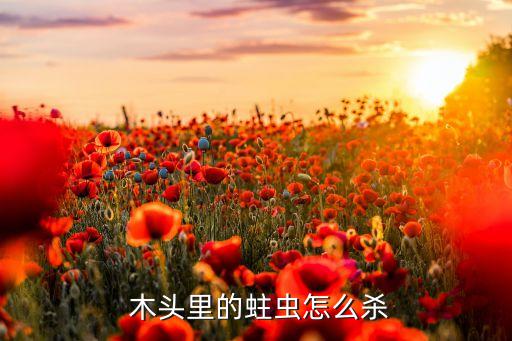 ,在木頭上噴什么農藥防蟲
