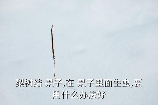 什么農藥可以殺死果子蟲,果子爛了施什么農藥