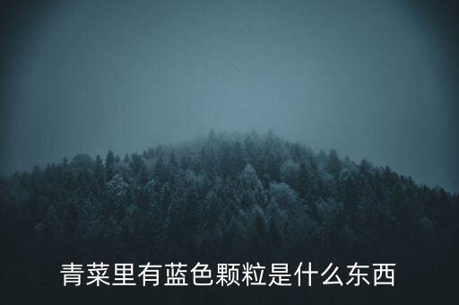 青菜里有藍色顆粒是什么東西