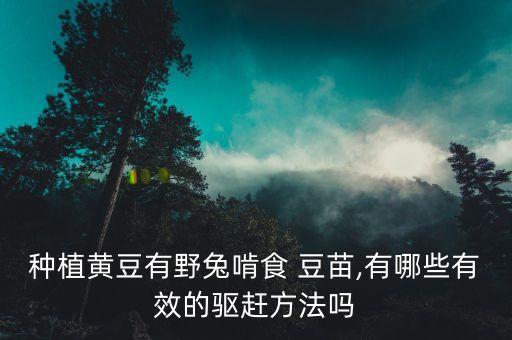 豆苗包尖打什么農藥,羊豆苗什么時間打