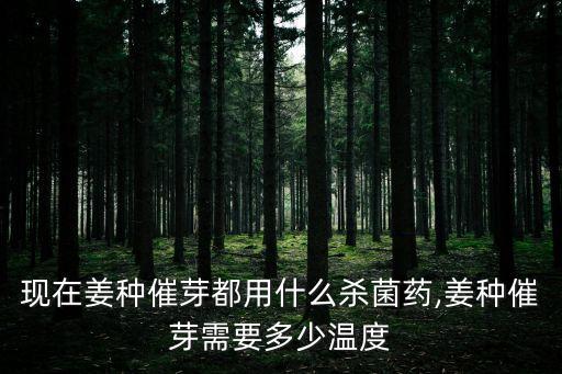 現在姜種催芽都用什么殺菌藥,姜種催芽需要多少溫度
