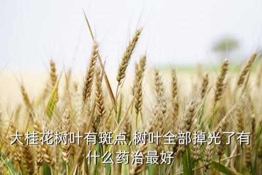 枯斑病用什么農藥最好,穗枯病用什么農藥防治呢