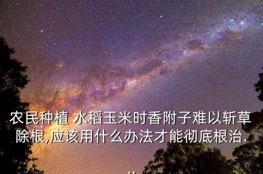 什么農藥對水稻根不好,水稻殺蟲用什么農藥