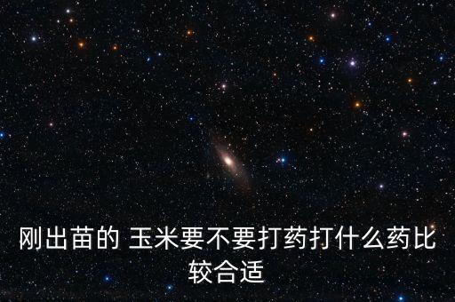 剛出苗的 玉米要不要打藥打什么藥比較合適