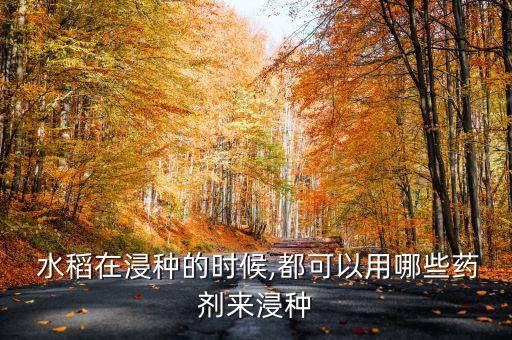  水稻在浸種的時候,都可以用哪些藥劑來浸種