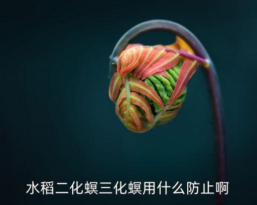 水稻二化螟三化螟用什么防止啊