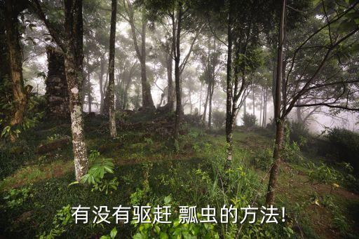 有沒有驅趕 瓢蟲的方法!