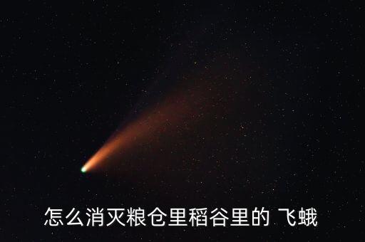 打死飛蛾蟲用什么農藥,小白飛蛾用什么農藥