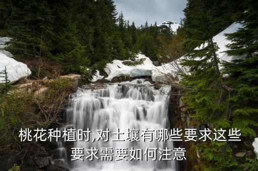  桃花種植時,對土壤有哪些要求這些要求需要如何注意