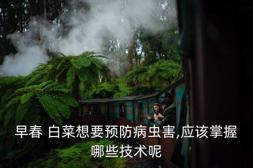 白菜什么時(shí)候噴農(nóng)藥最多,白菜噴農(nóng)藥在一天中什么時(shí)候