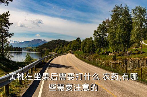 水果打什么農(nóng)藥好吃些,用什么洗水果可以去農(nóng)藥