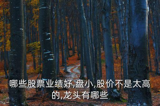 國光農藥股份是什么公司,國光股份是農藥龍頭嗎