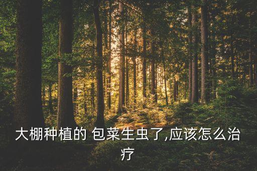 包菜用什么農藥防,包菜蟲用什么農藥
