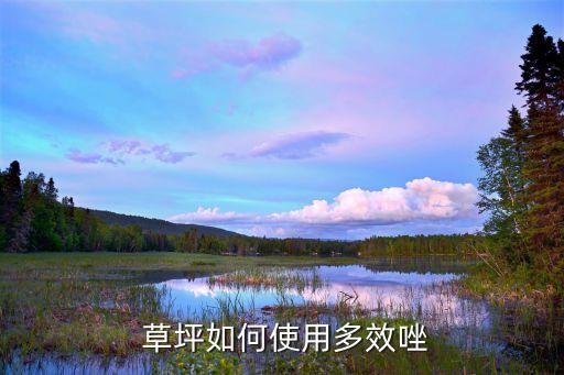 玉龍草坪用什么農藥打藥