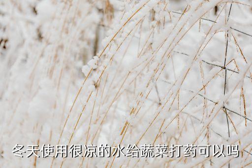 冬天使用很涼的水給蔬菜打藥可以嗎