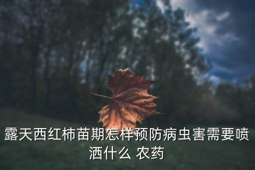 剛種的番茄噴什么農藥
