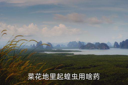螞蚱用什么農藥好