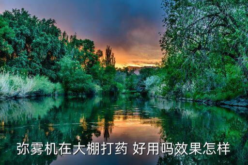 彌霧機(jī)在大棚打藥 好用嗎效果怎樣