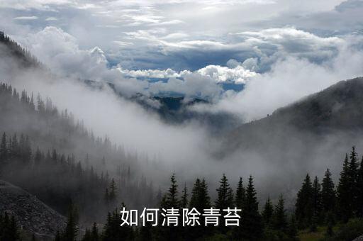 如何清除青苔