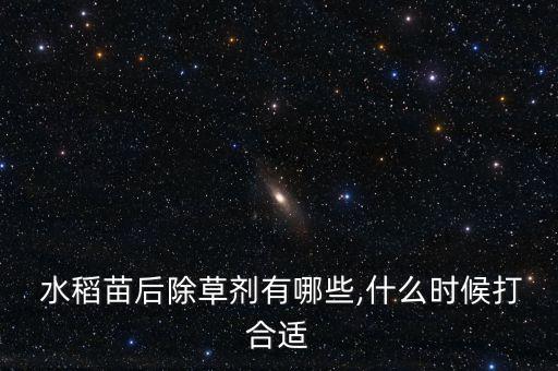 水稻用什么農(nóng)藥打青菜,什么青菜農(nóng)藥比較少