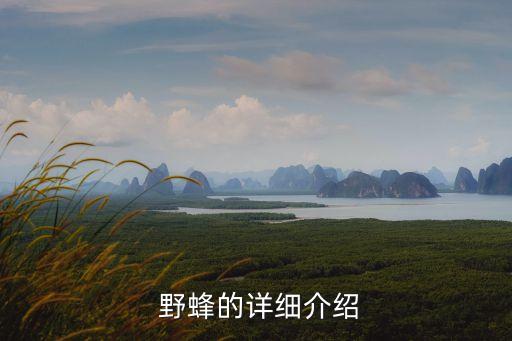 野蜂有什么農藥才能殺死,殺滅野蜂用什么農藥