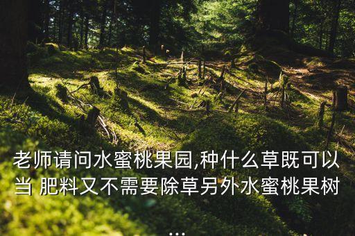 老師請問水蜜桃果園,種什么草既可以當 肥料又不需要除草另外水蜜桃果樹...