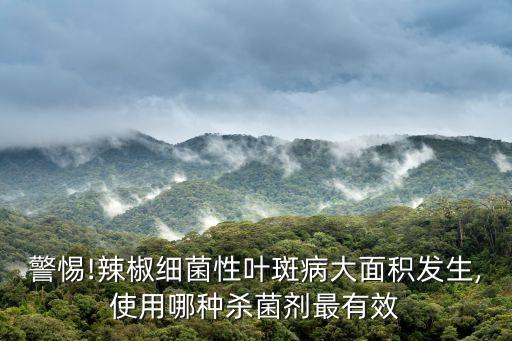 警惕!辣椒細菌性葉斑病大面積發生,使用哪種殺菌劑最有效