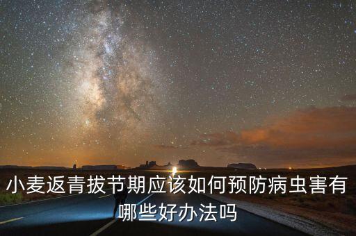 小麥返青拔節(jié)期應(yīng)該如何預(yù)防病蟲害有哪些好辦法嗎