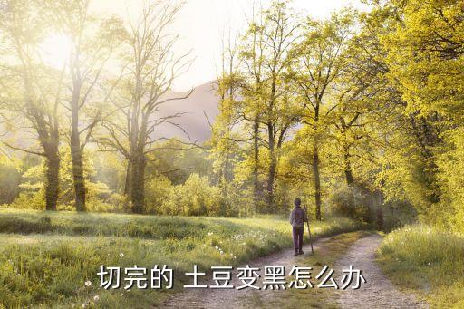 切完的 土豆變黑怎么辦