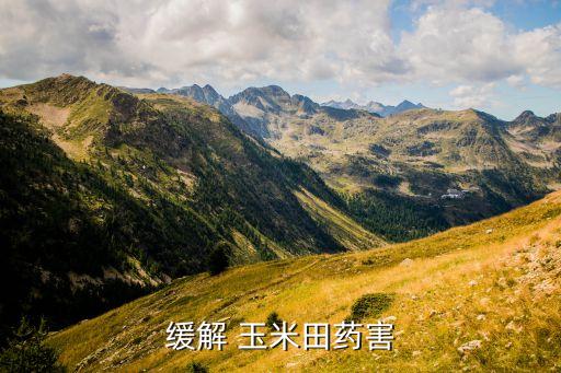 殺死玉米的農(nóng)藥叫什么藥,玉米治蟲用什么農(nóng)藥好