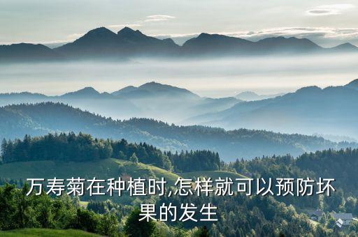  萬壽菊在種植時,怎樣就可以預防壞果的發(fā)生