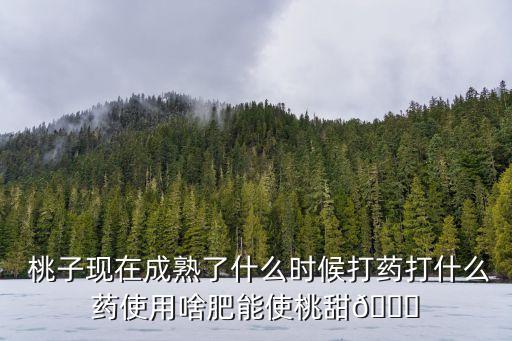  桃子現在成熟了什么時候打藥打什么藥使用啥肥能使桃甜?