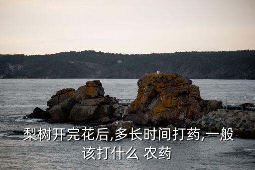 梨樹初期用什么農(nóng)藥,梨樹打什么農(nóng)藥最好